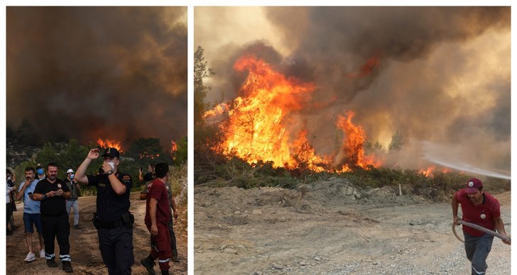 Skogsbrand, Grekland, turkiet, Skogsbränder